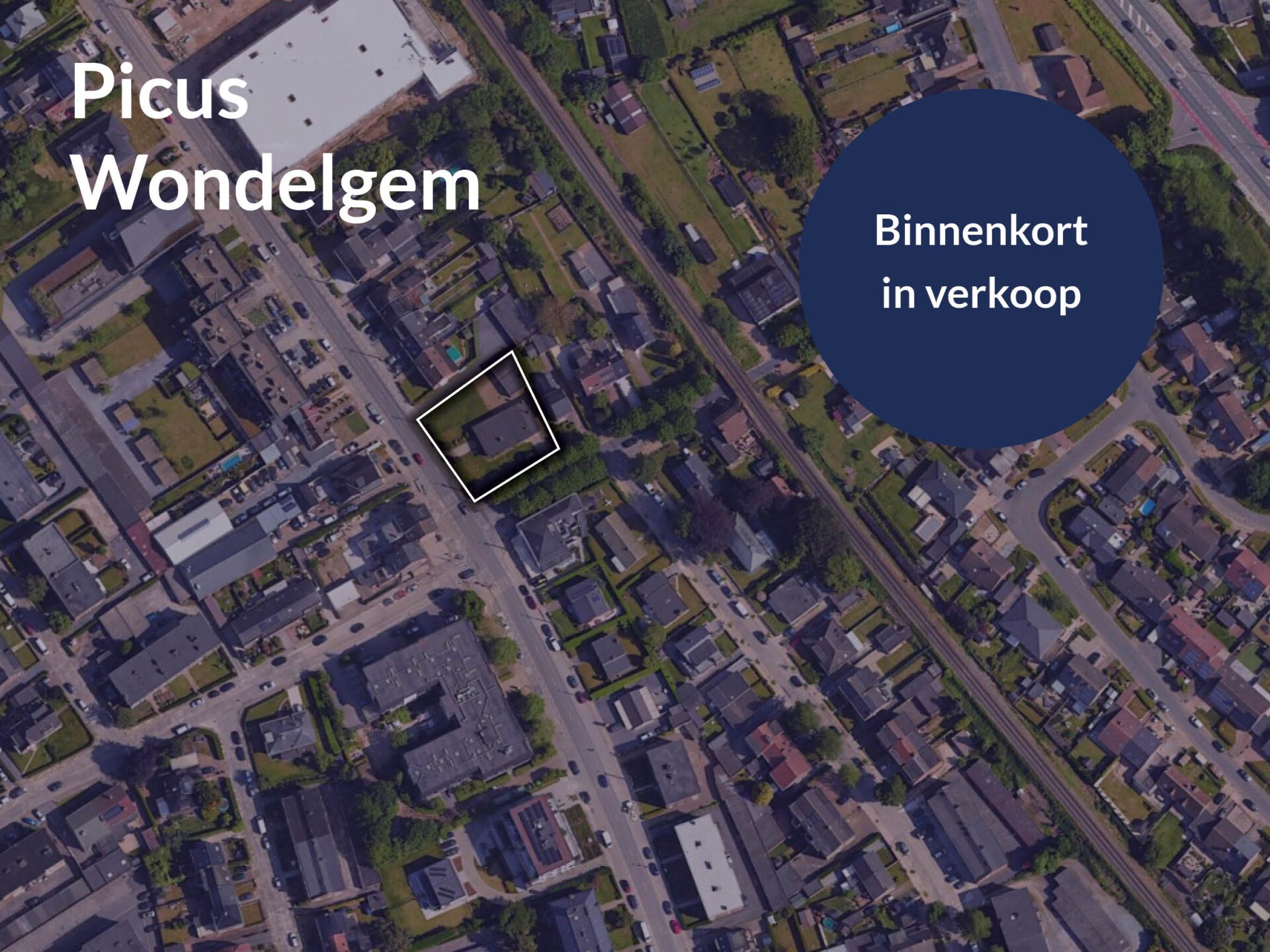 Picus Evergemsesteenweg wondelgem